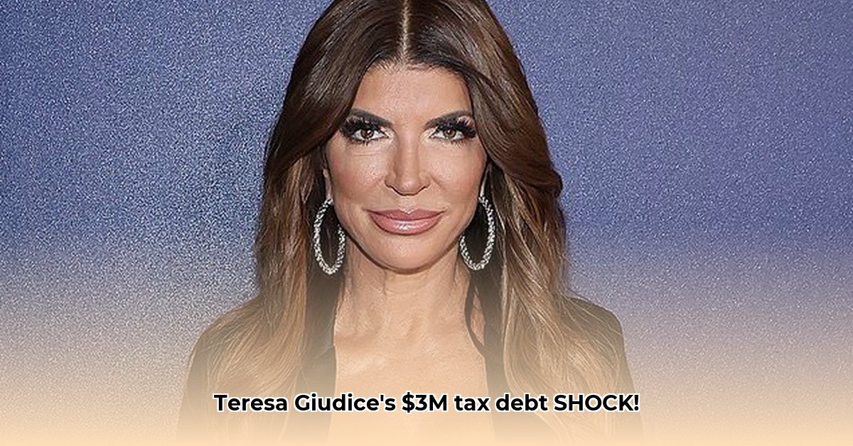 teresa-giudice-tax-debt-details